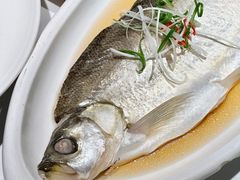 酒糟白水鱼-人和馆·上海菜(肇嘉浜路店)