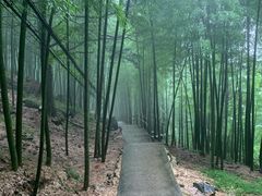 -藏龙百瀑风景区