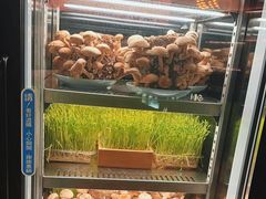 -捞王猪肚鸡火锅(金华义乌之心店)