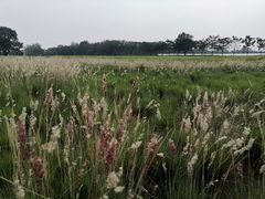 -汉长安城未央宫国家考古遗址公园