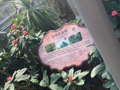 -南山植物园