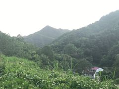 -牛背梁国家森林公园