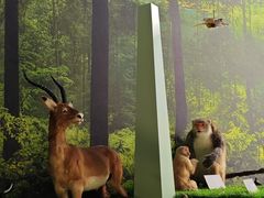 -房山世界地质公园博物馆