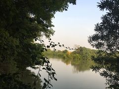 -大湾区中央湿地公园