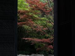 -湘湖逍遥庄园·水漾中餐厅