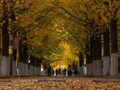 -辽东学院(南校区)