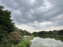 -海珠湖公园