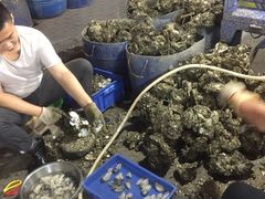 -花苑美食横琴生蚝火锅(拱北粤华路店)