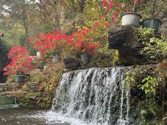 -红螺寺