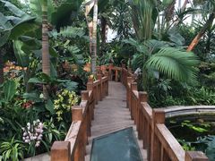 -北京植物园-展览温室