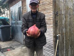 -帐篷客·溪龙茶谷度假酒店