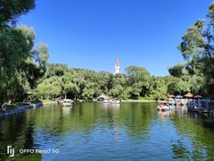 -黑龙江省森林植物园