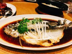 钱湖四宝-朋鱼-宁波柏悦酒店·钱湖渔港