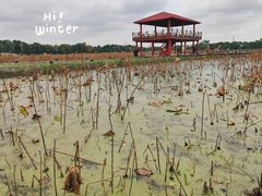 -嘉北郊野公园