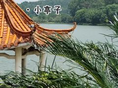 -南国桃园旅游度假区