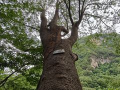 -辋川溶洞