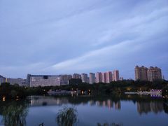 -青枫公园