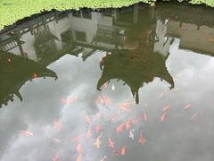 -绩溪龙川景区