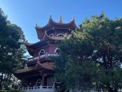 -三水森林公园