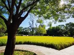 -北坞公园