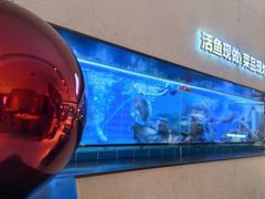 -老板恋上鱼(恒隆广场店)