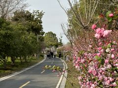 -阳澄湖半岛旅游度假区