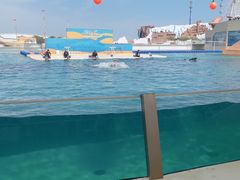 -秦皇岛乐岛海洋王国