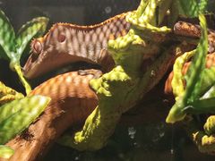 -太平洋海底世界