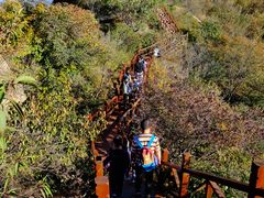 -大岭沟猕猴桃谷风景区