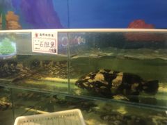 -隐厨·海鲜餐厅(恒通路店)