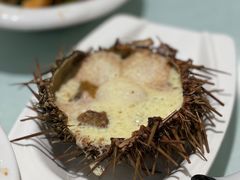 海胆蒸蛋-荣祥海鲜·烟台菜(胜利路二部)