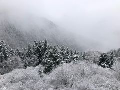 -黄龙山原始森林景区