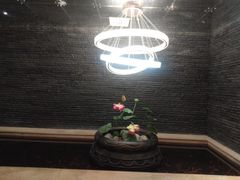 -华夏良子·足道·SPA·艾灸(苏州桥店)