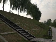-洨河生态公园
