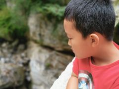 -陕西省红河谷森林公园