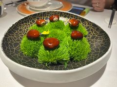 -鹿园 MOOSE(长宁店)