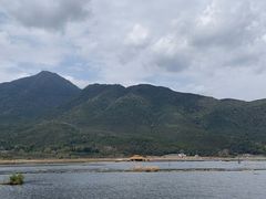 -腾冲北海湿地