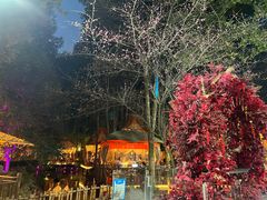 -二荆条·蜀鲜汇城市森林火锅