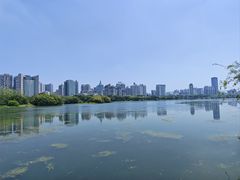 -南宁南湖公园