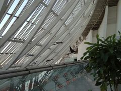 -全明星滑冰俱乐部(天津远洋店)