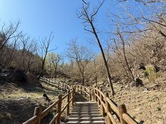 -白水寺森林公园