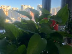 -北京华佳律师事务所(双井店)