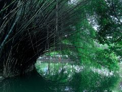 -棠湖公园