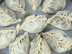 -小叶大馅饺子城