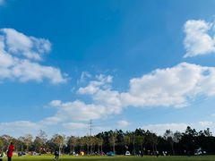 -上海海湾国家森林公园