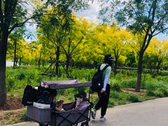 -东郊湿地公园