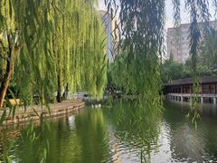-团结湖公园