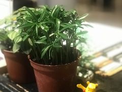 -好,丘(信义店)