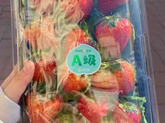 -百果园PAGODA(和泓四季店)