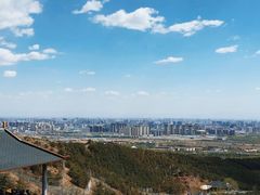 -大青山野生动物园